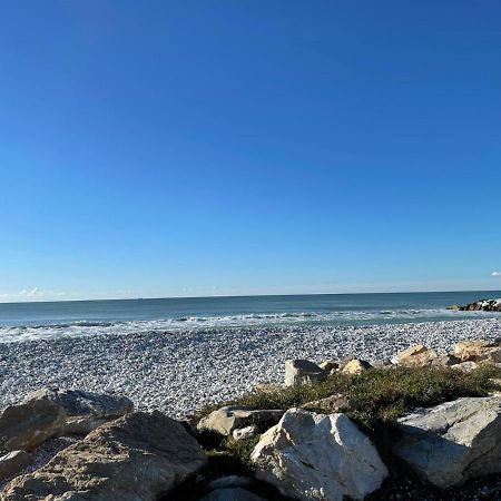 Azzurra House Apartment Marina Di Pisa Bagian luar foto