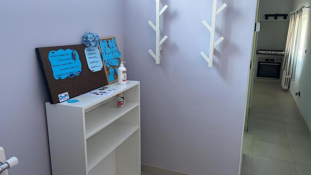 Azzurra House Apartment Marina Di Pisa Bagian luar foto